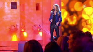 Céline Dion dans Vivement Dimanche - 08/12/13 - 06