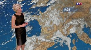 Evelyne-Dheliat--Meteo-de-20h--07-01-14--02