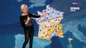 Evelyne-Dheliat--Meteo-de-20h--09-01-14--01