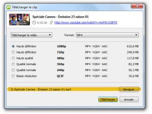 ext--4k-video-downloader--2