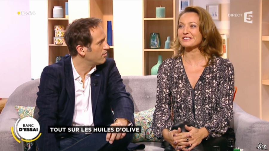 Valérie Durier dans la Quotidienne. Diffusé à la télévision le 28/10/13.