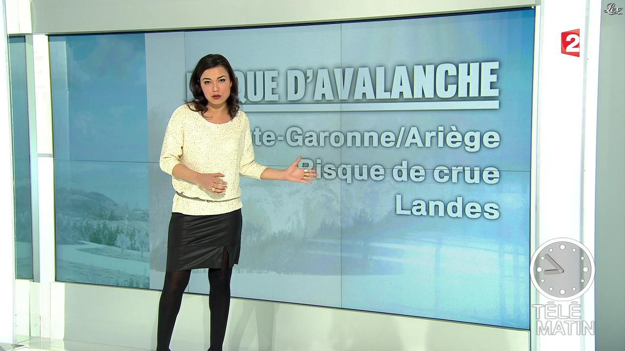 Anaïs Baydemir dans Télématin. Diffusé à la télévision le 14/02/13.