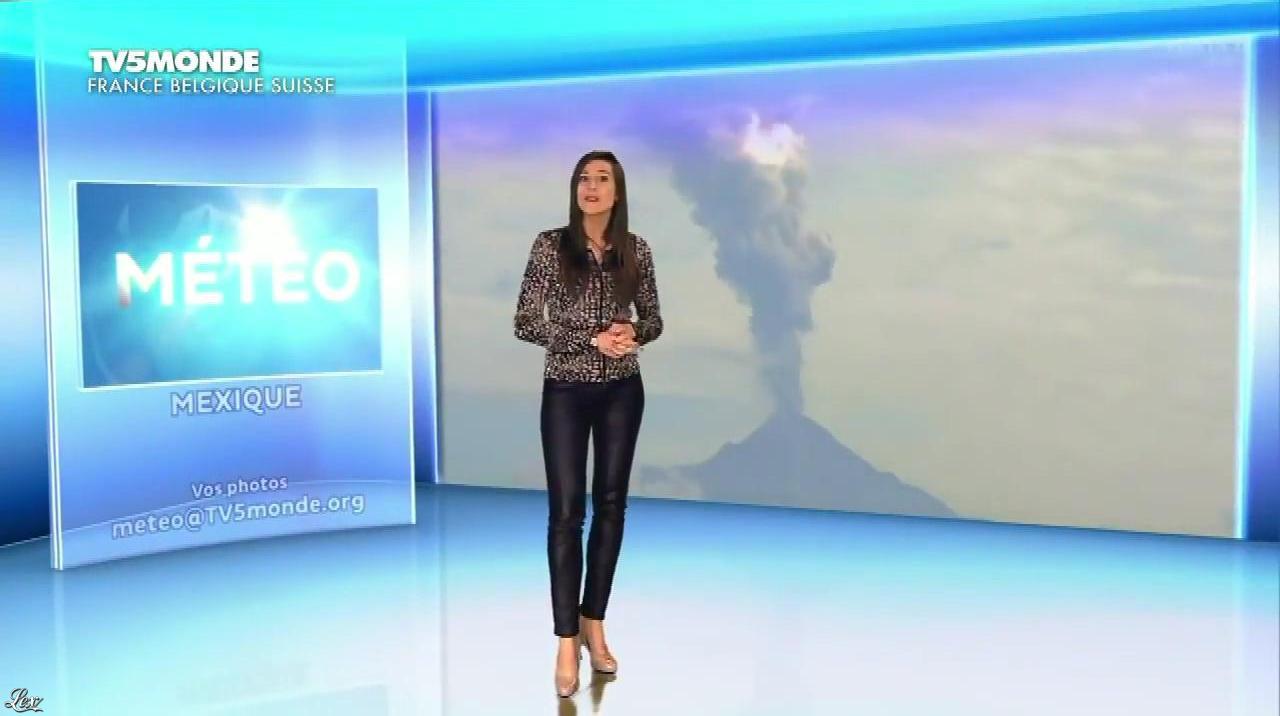 Daniela Prepeliuc - Meteo de TV5 Monde 2016 - 02