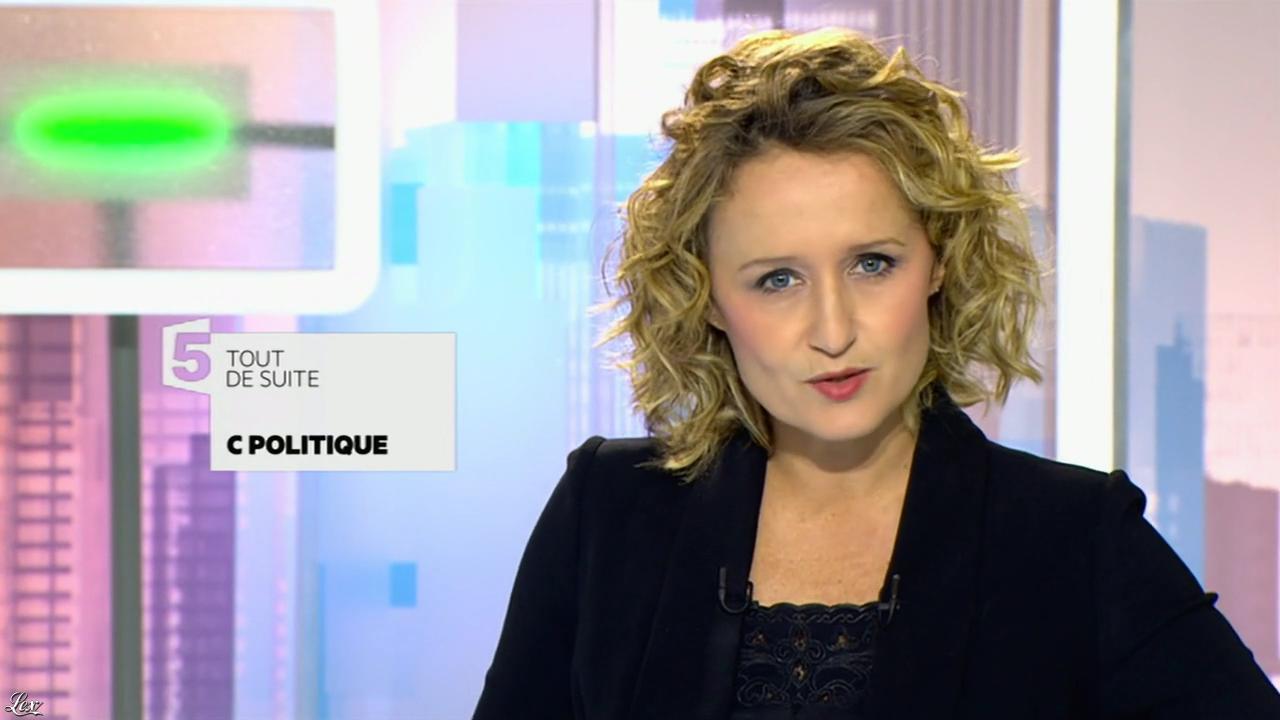 Caroline Roux dans C Politique. Diffusé à la télévision le 08/11/15.