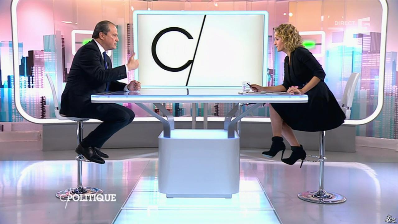 Caroline Roux dans C Politique. Diffusé à la télévision le 08/11/15.