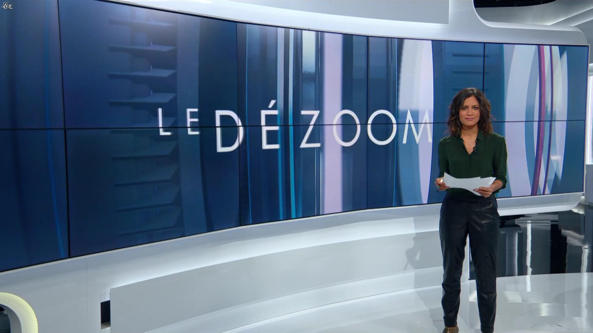 Aurélie Casse dans le Dezoom. Diffusé à la télévision le 30/01/20.